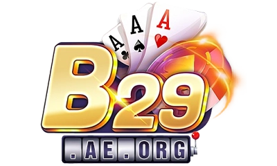b29